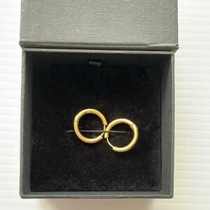 Steelx Hoops Gold Plated Steel
